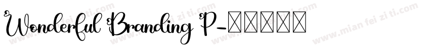 Wonderful Branding P字体转换